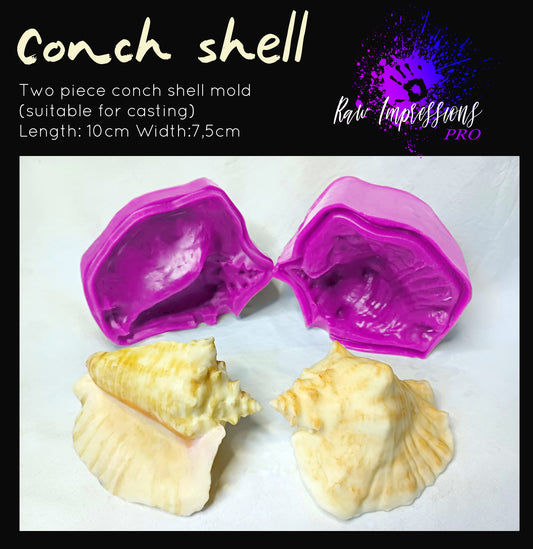 Conch Shell