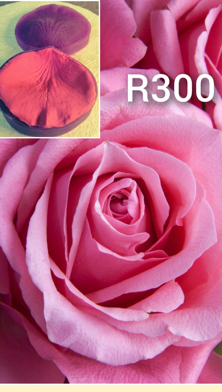 Rose Petal Mold.