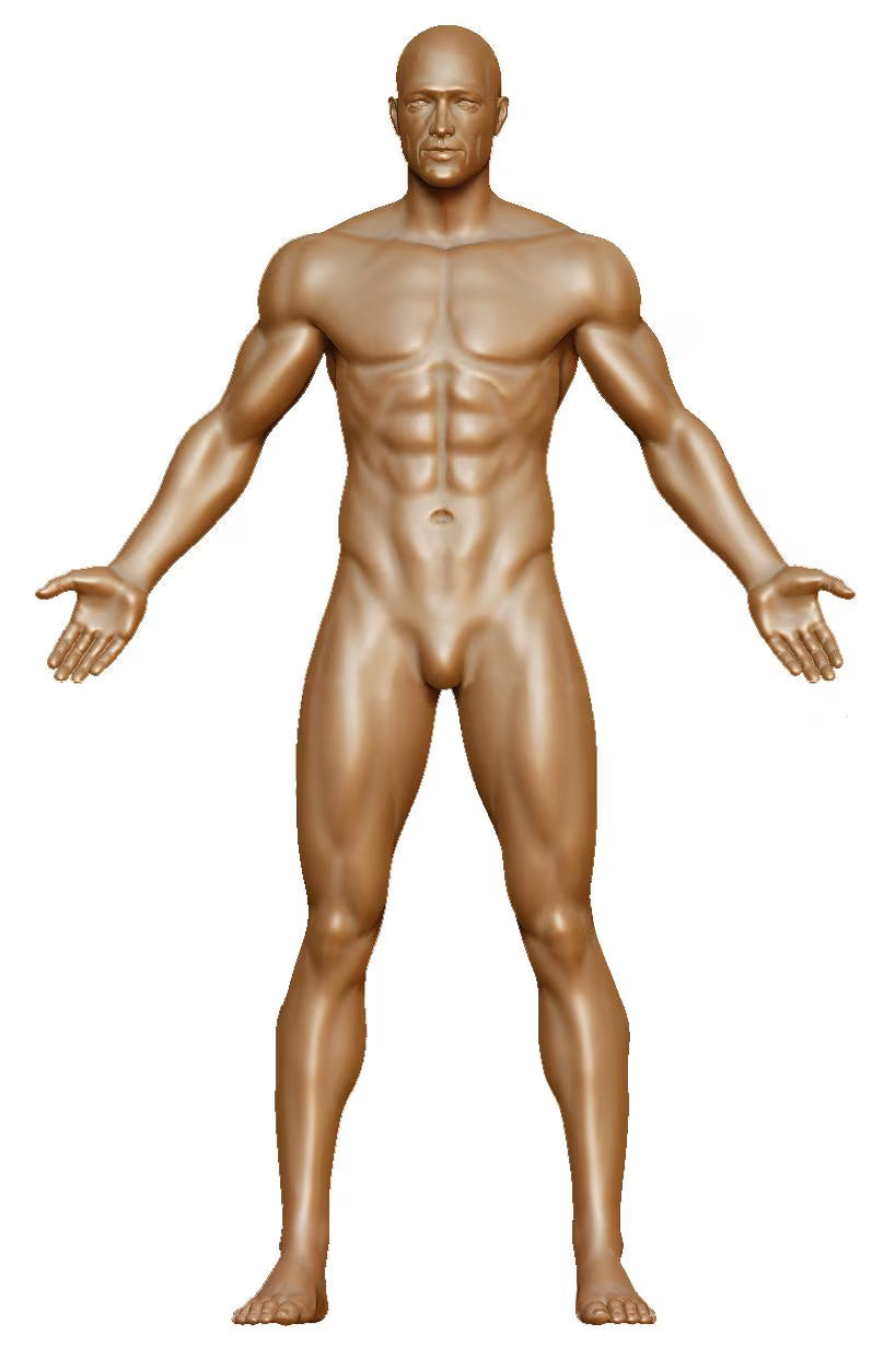 Full Beau Body Mold Set